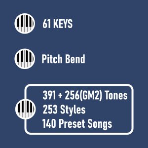 8 Best Musical Electronic Keyboards For Beginners 8 Roland E-X20 electronic musical keyboard features